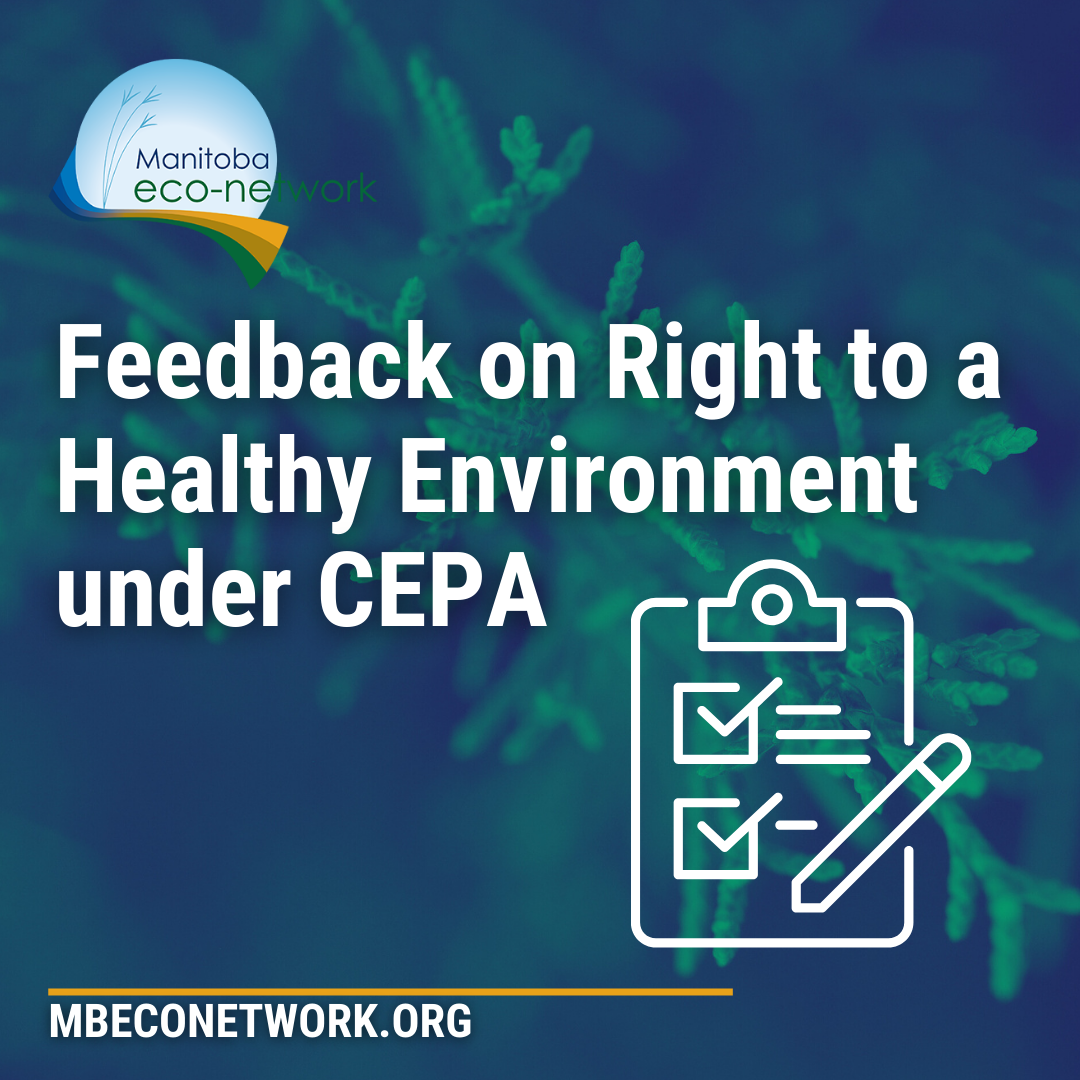 Featured image for “Our Feedback on the Implementation Framework for a Right to a Healthy Environment”