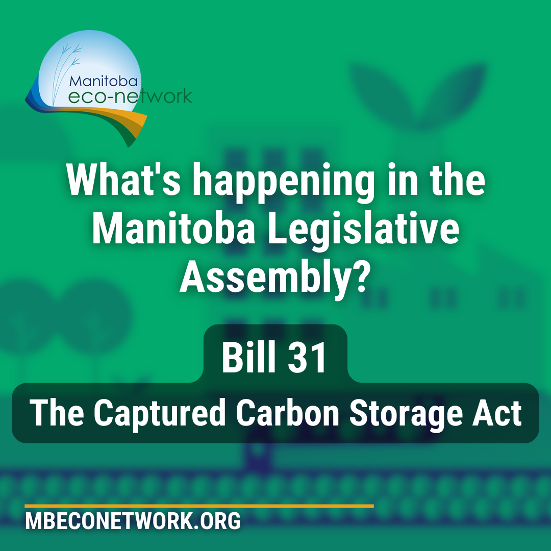 Featured image for “The Many Problems with Bill 31: The Captured Carbon Storage Act”