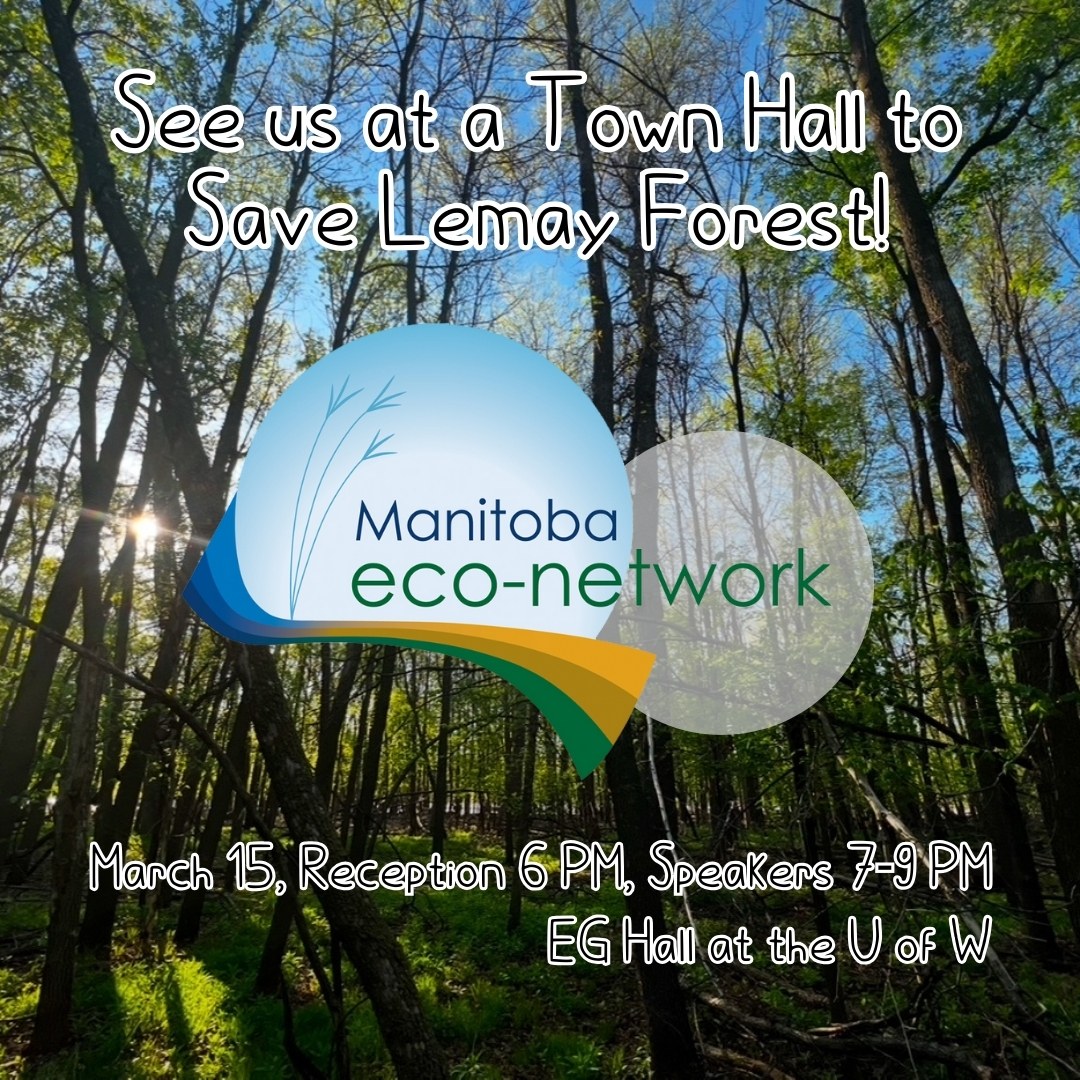 Featured image for “Save LeMay Forest – URGENT, TAKE ACTION before March 14th, Townhall on March 15”
